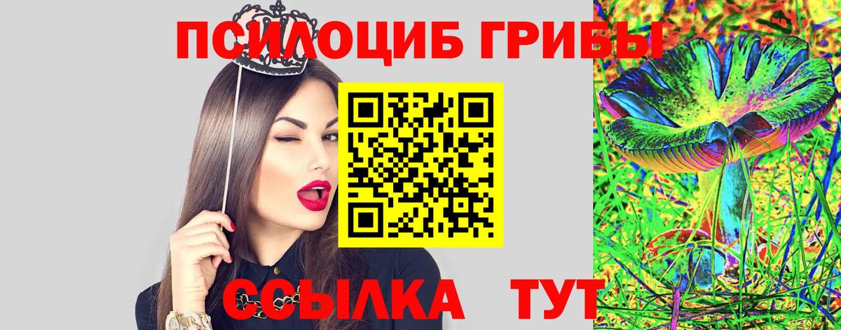 Псилоцибиновые грибы прущие грибы Богданович